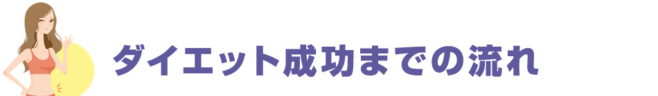 ダイエット成功までの流れ